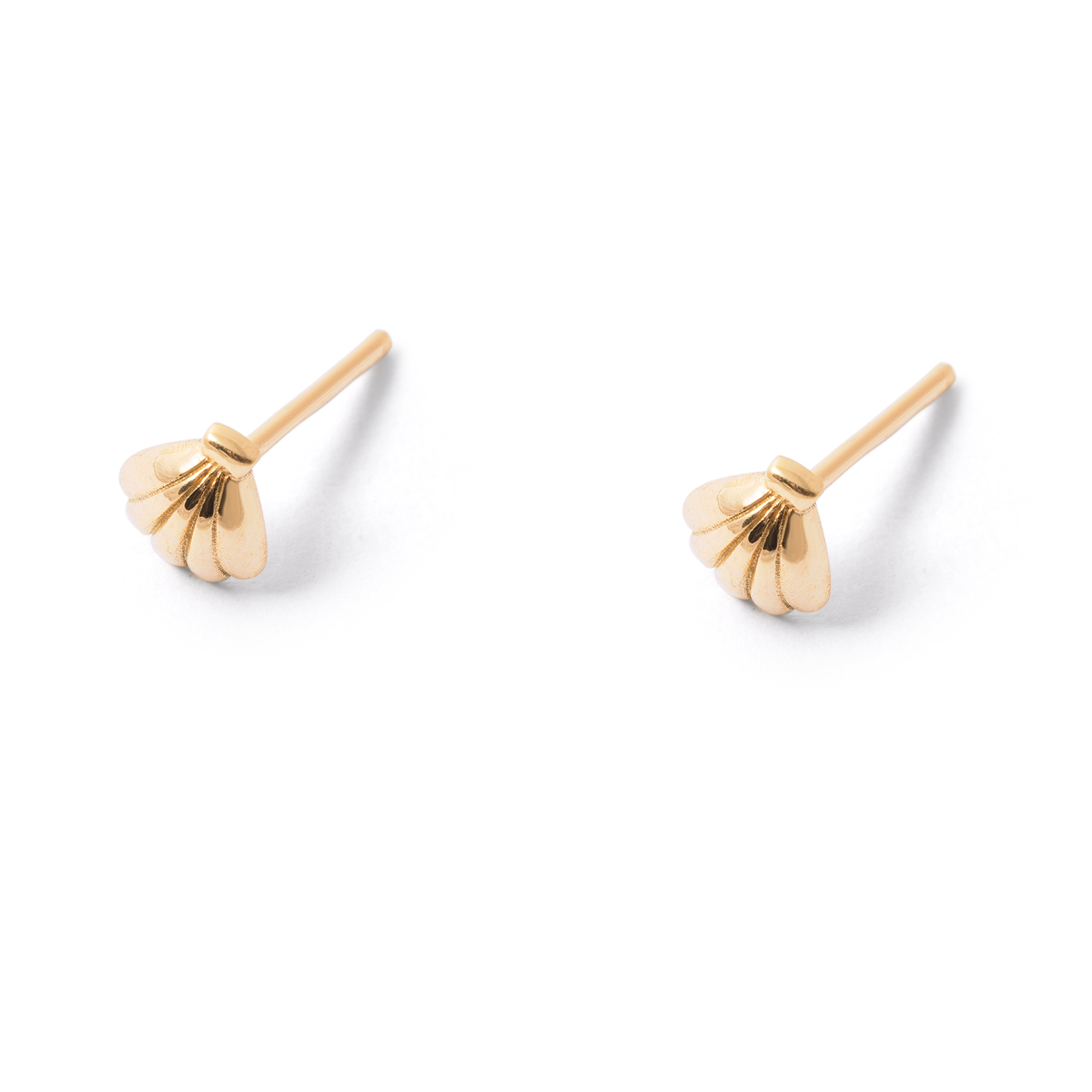 Shell gold earrings g
